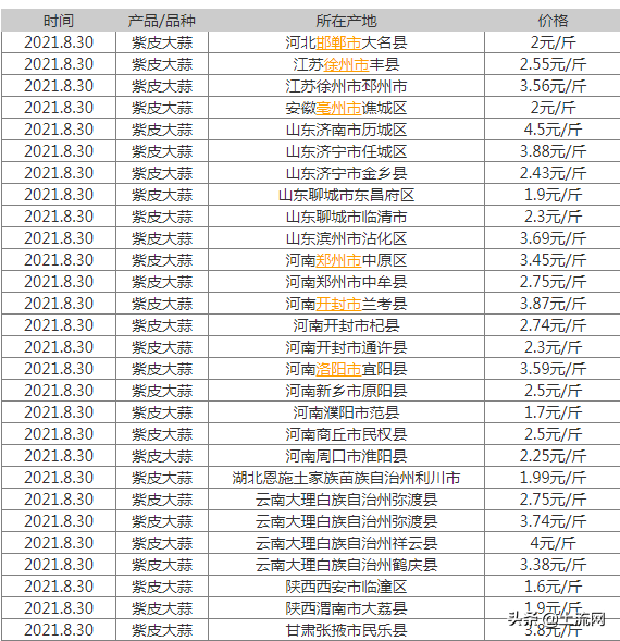 山东紫皮蒜今日价格「今日山东蒜片最新价格」