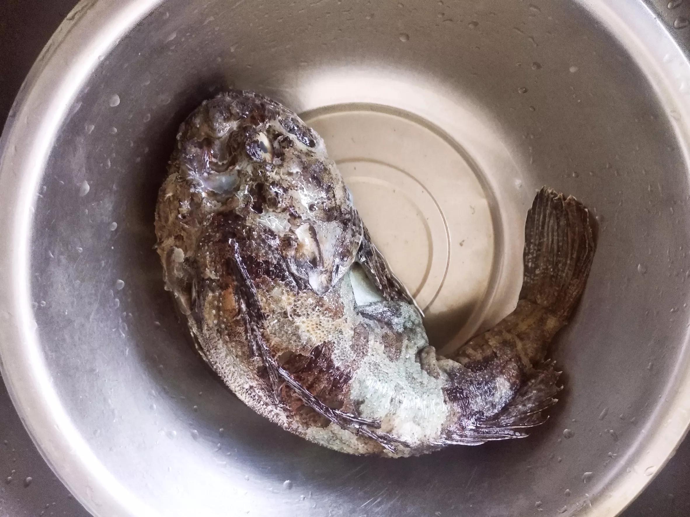 鱼推荐吃法:【红烧鮟鱧鱼】,【鮟鱧鱼炖萝卜】,【鮟鱧鱼炖豆腐】等