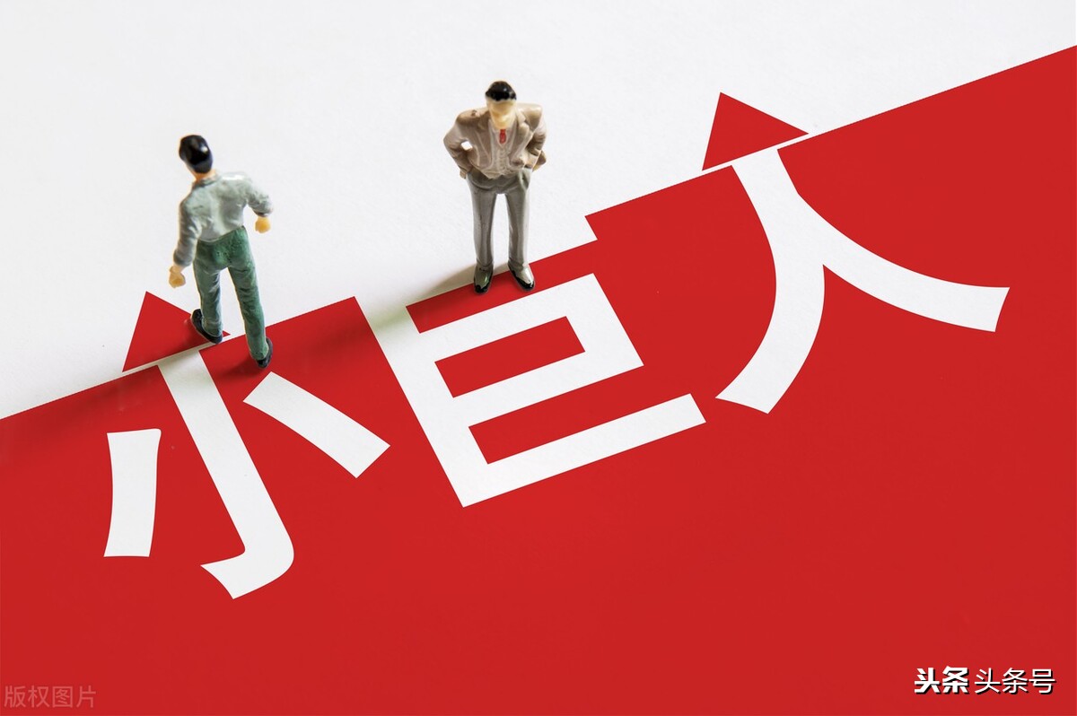 国家“专精特新”小巨人企业简介及申报条件