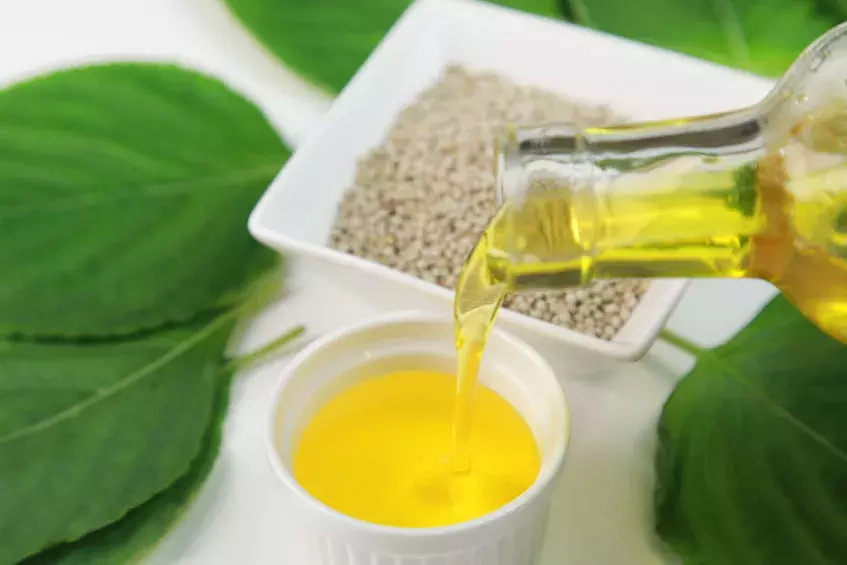 芥花籽油是菜籽油吗（分享4个关于食用油的真相）