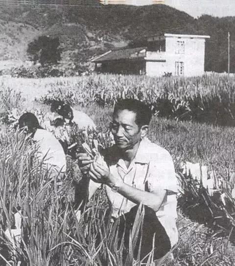 致敬“杂交水稻之父”袁隆平：除了珍惜粮食，我们还能做到这五点