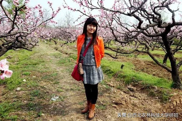 西北农林科技大学研究生（央媒点名）