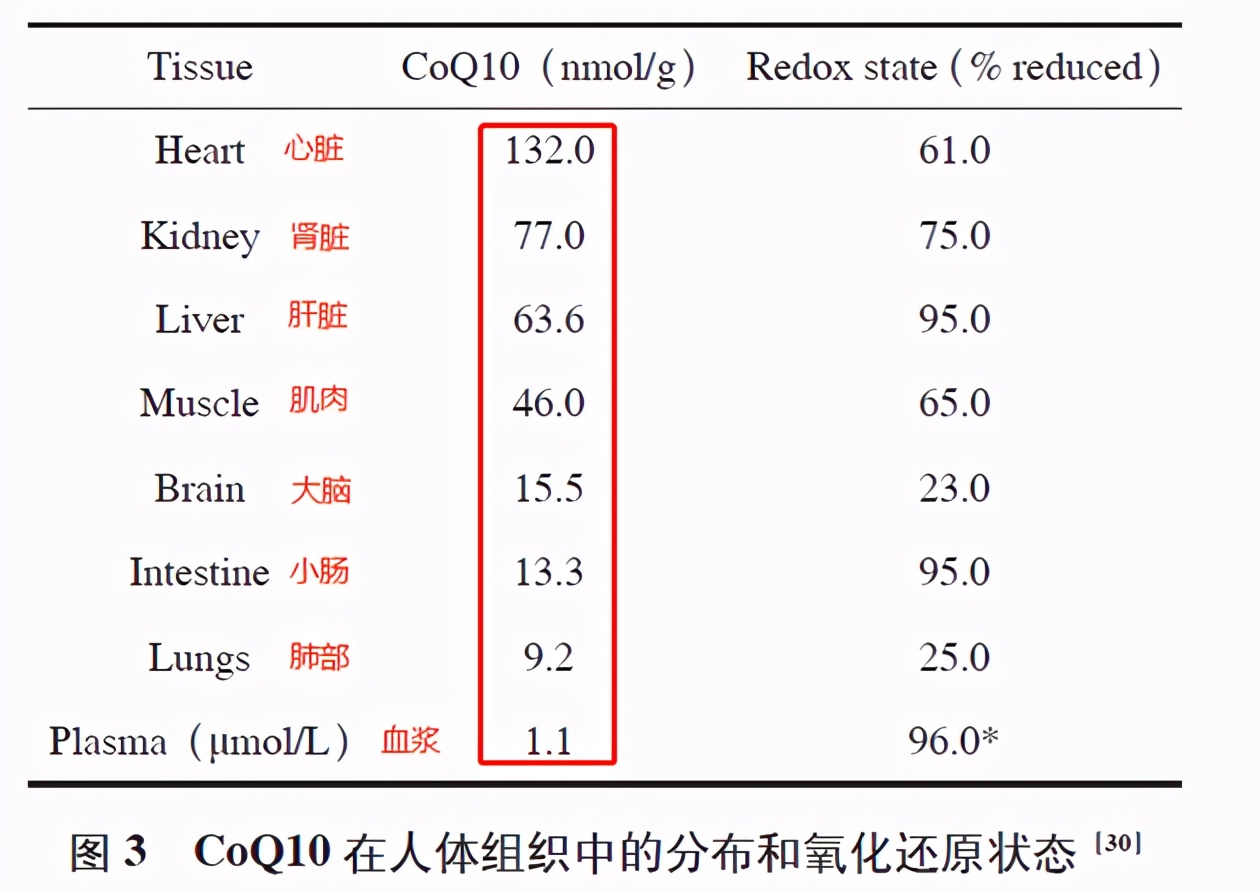 辅酶Q10: 不单是他汀救赎，抗炎症脂性抗氧化物