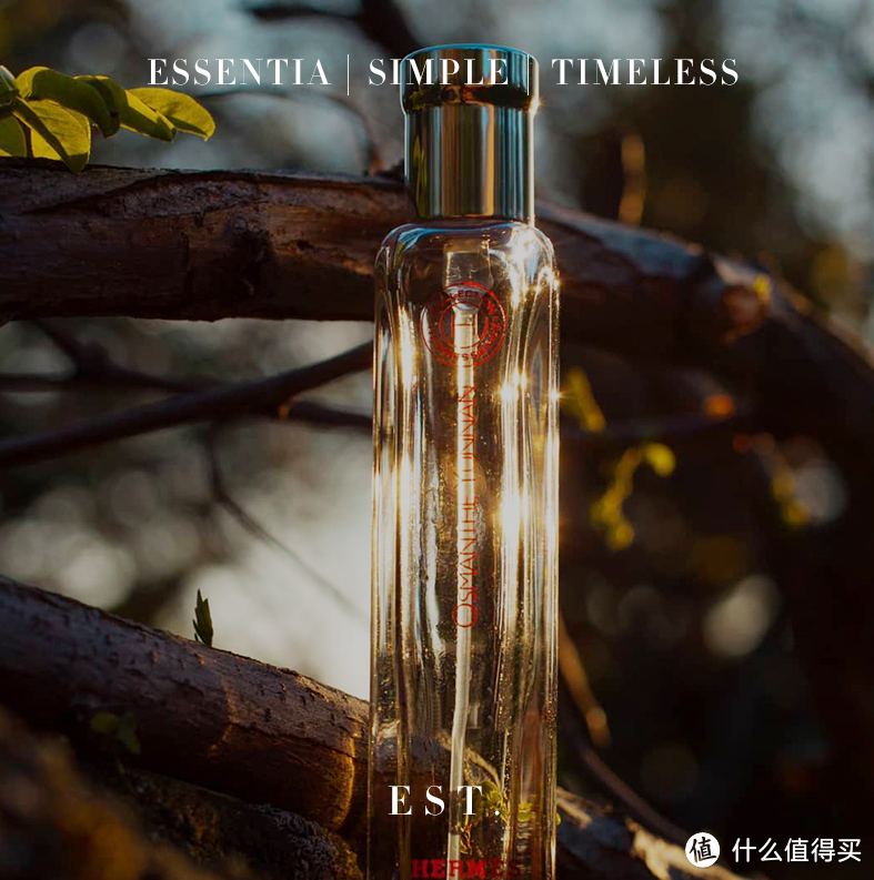 慵懒周末香水是什么品牌（详解1款香水品牌）