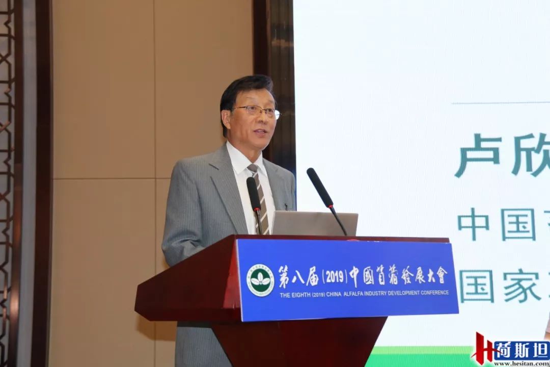 新機遇下苜蓿產(chǎn)業(yè)如何發(fā)展？第八屆2019中國苜蓿發(fā)展大會召開