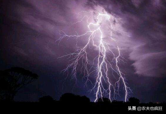 俗语“雷打冬，十个牛栏九个空”啥意思？今冬多地打雷有啥说法？