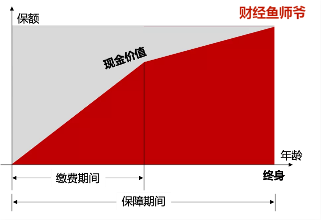 寿险包括,寿险包括哪些险种