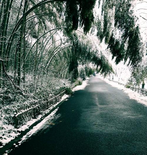 赋古风诗写竹林，寒宵霁雪，遥念山阳竹林，追思竹林六贤及竹林会