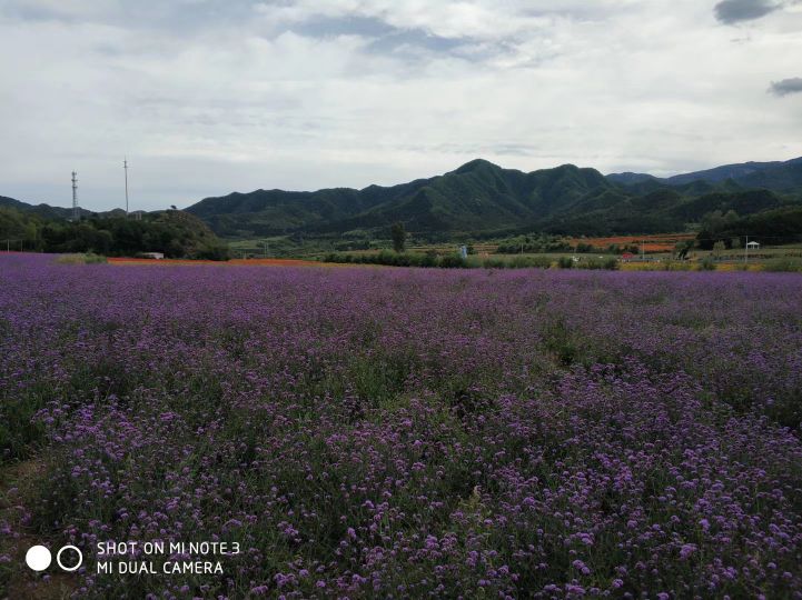 北京26个免费而风景优美的景区，你去过几个？您还有哪些景区推荐