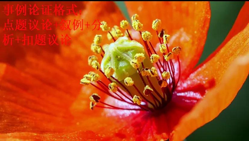 ֤(zheng)֤ã-Ѷ