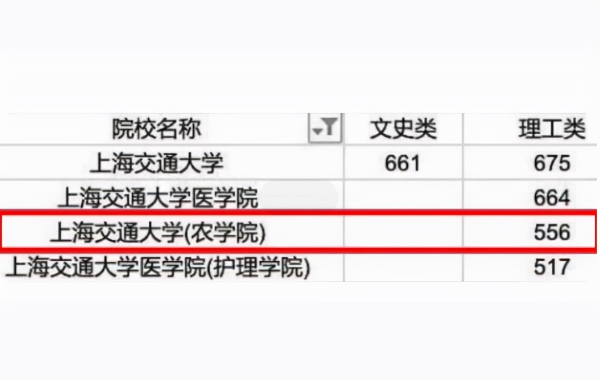 广西高考“捡漏王”，556分上岸上海交大，果然考得好不如报得好