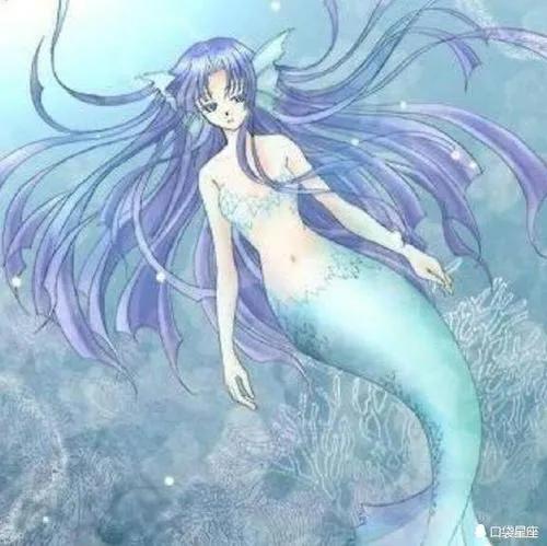 十二星座的守护星，星座花，花语，快来看看你的是什么吧