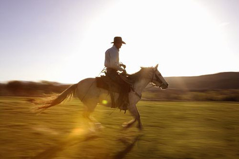 《牧羊少年奇幻之旅》|梦想得以实现的三个必须要素是什么？