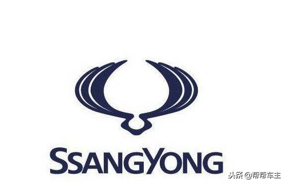 双龙汽车爱车难题解析与解决方案