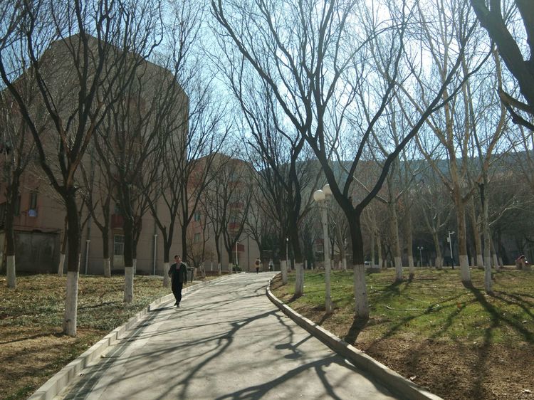 梦想花开，走进山东财经大学的春天！