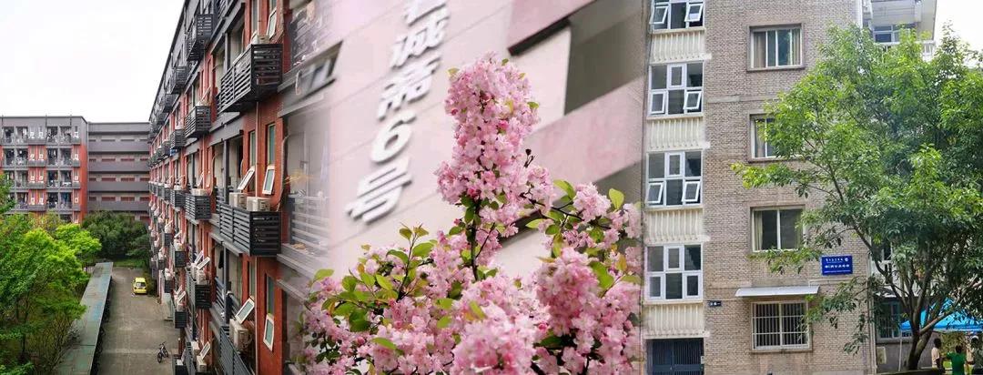 世界之最！据说，西南交通大学有一辆校内