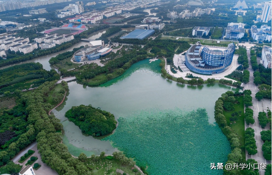 双一流高校毕业生去向出炉，华南理工大学博士生无人去东北就业