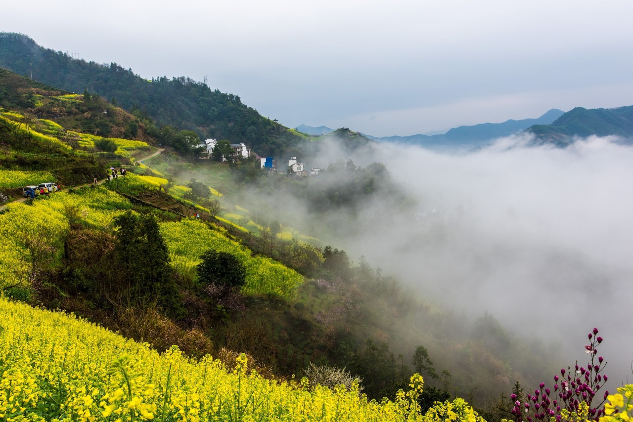 登山的脚步踏过青石小径，每一步都承载着对山顶美景的向往与坚持。