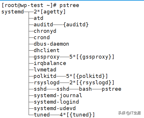 linux查看进程命令（如何在Linux中查看所有正在运行的进程）(2)