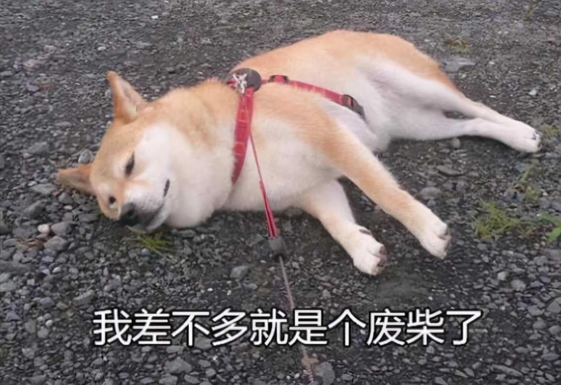 文科生VS理科生，大学毕业后才发现，差别不是一星半点