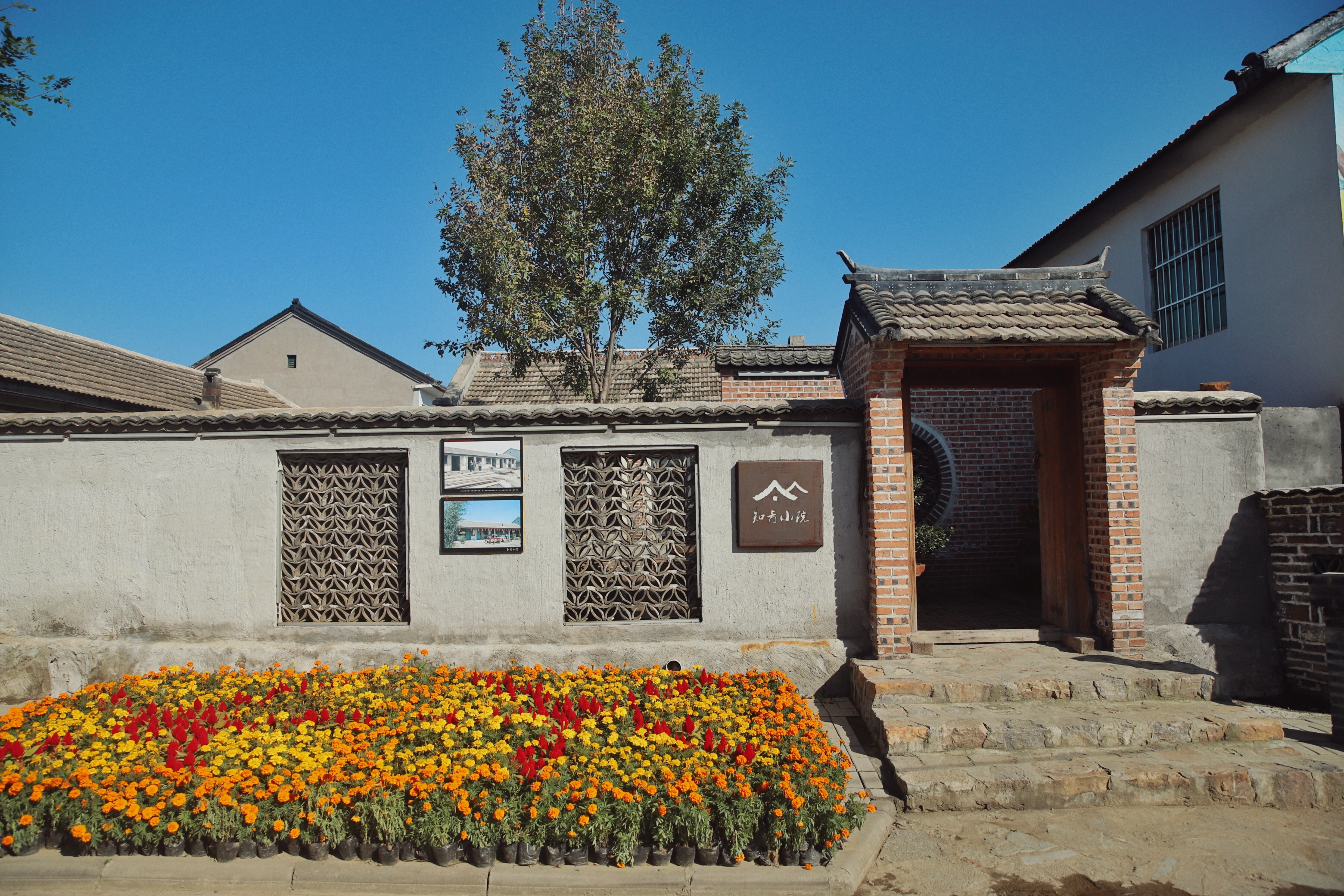 北京出发2小时，超美稻田免费玩～再不去后悔一年