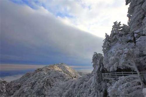 河南十大最高峰这三座5A景区各占一个，这个季节美成了林海雪原