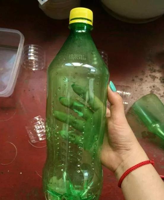塑料瓶养多肉好处多,浇水扦插是个好手,再也不扔掉了