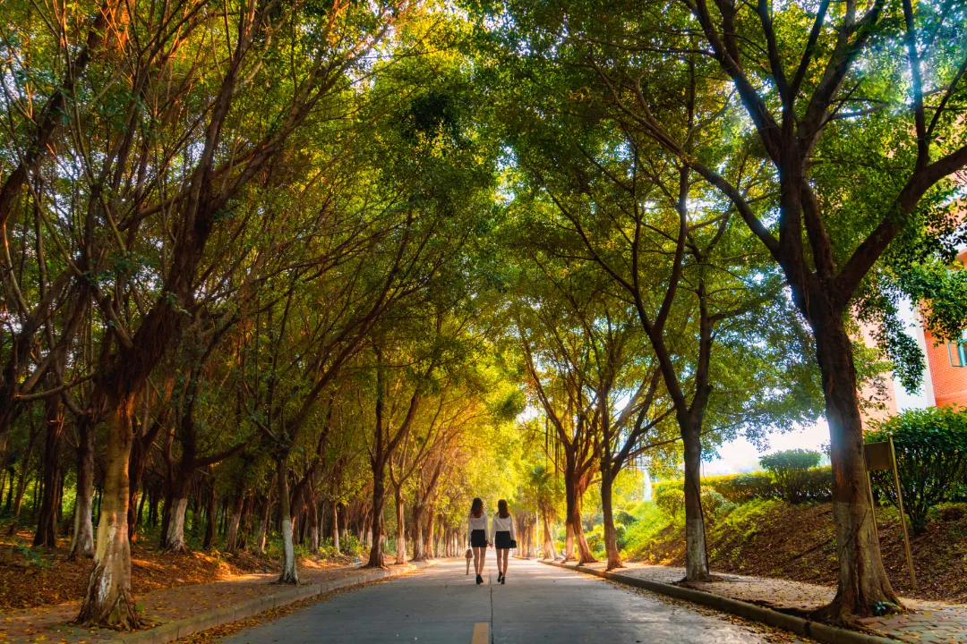 广州城市理工学院12617，这份填报指南你值得拥有