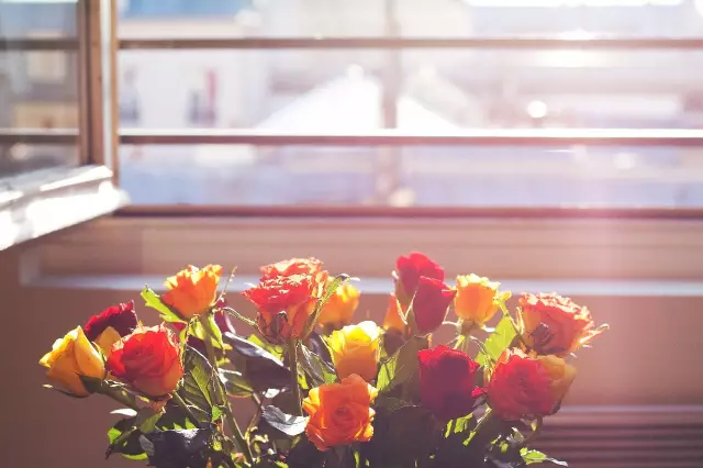 我愿是激流(鲁迅先生的自嘲古诗)