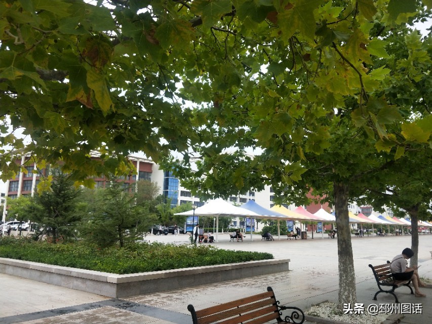 美丽的校园，威海职业学院