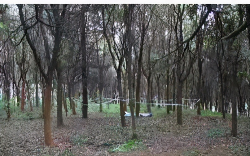 扬州警方破获系列盗墓案，19名“摸金校尉”悉数落网