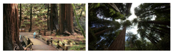 访问学者在斯坦福大学吃、住、行、学、玩生活指南