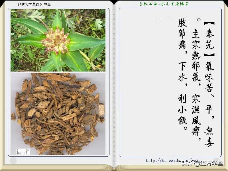 《神农本草经》全册图文解析 建议收藏