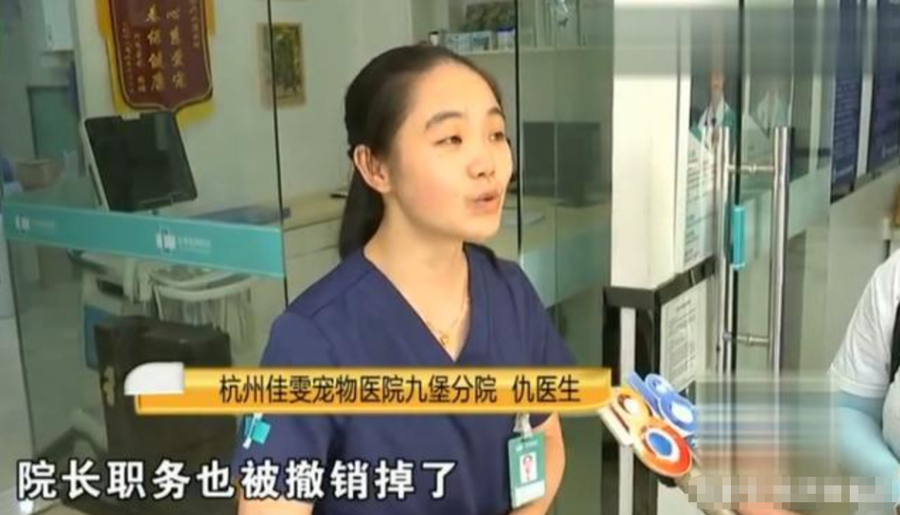 杭州一女子送土狗做绝育，却死在手术台上，医院赔偿1500被拒