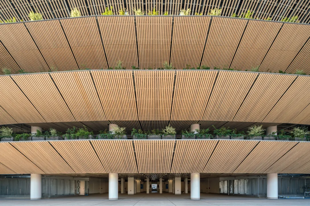 日本东京奥运会建筑有哪些(东京奥运主场馆——新国立竞技场设计全解析)