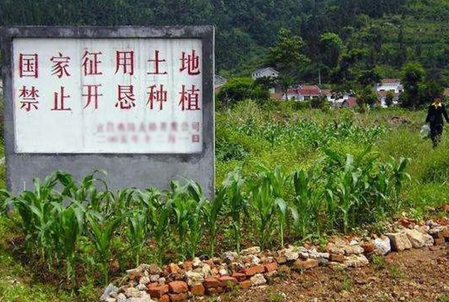 下半年農(nóng)村迎來5項(xiàng)補(bǔ)貼，自己主動(dòng)申領(lǐng)，村村都有涉及，你領(lǐng)了沒