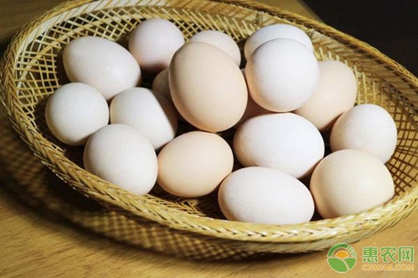 目前鸡蛋多少钱一斤？附：最新鸡蛋价格未来走势分析