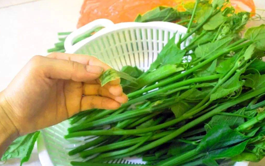 常吃这菜，比吃猪肉实惠多了，简单一炒，口味细嫩，对身体好