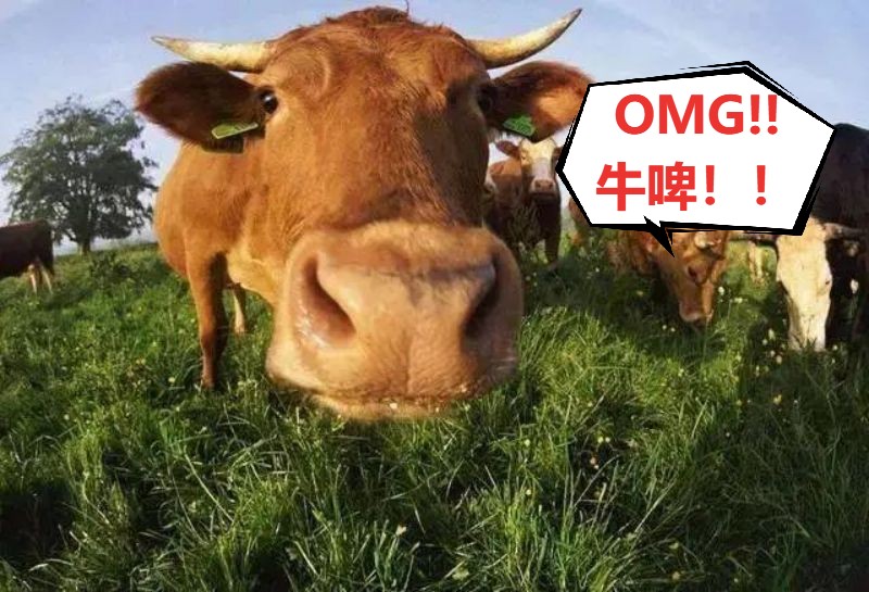 "你太牛了",中国人夸人为何要用"牛",而不用"马"?