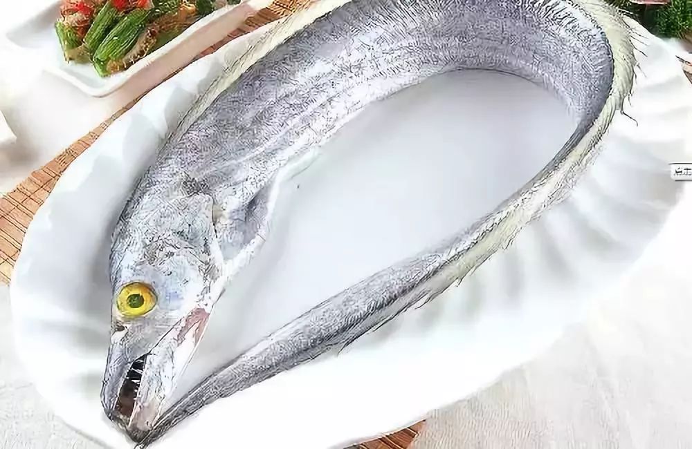 老渔民推荐这5种,物美价廉,营养又美味