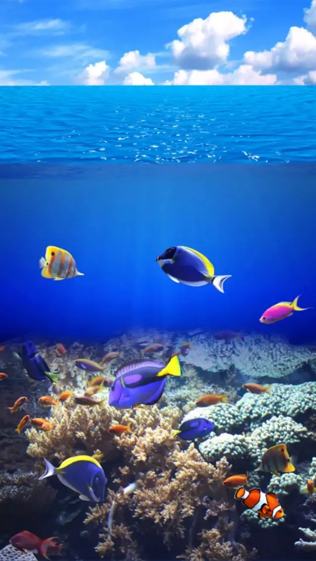 海底世界是什么样子的全屏海底世界动态壁纸