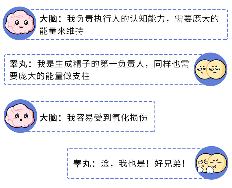 为什么男人会“好色”？科学解释：蛋蛋与大脑共享92%的蛋白质