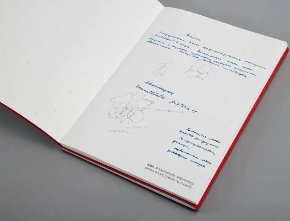 「你喜欢的大学」 拍了拍你，并说：这是你的录取通知书嘛？