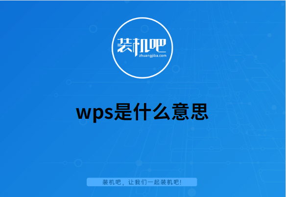 wps是什么意思解说，wps缩写的意思解释