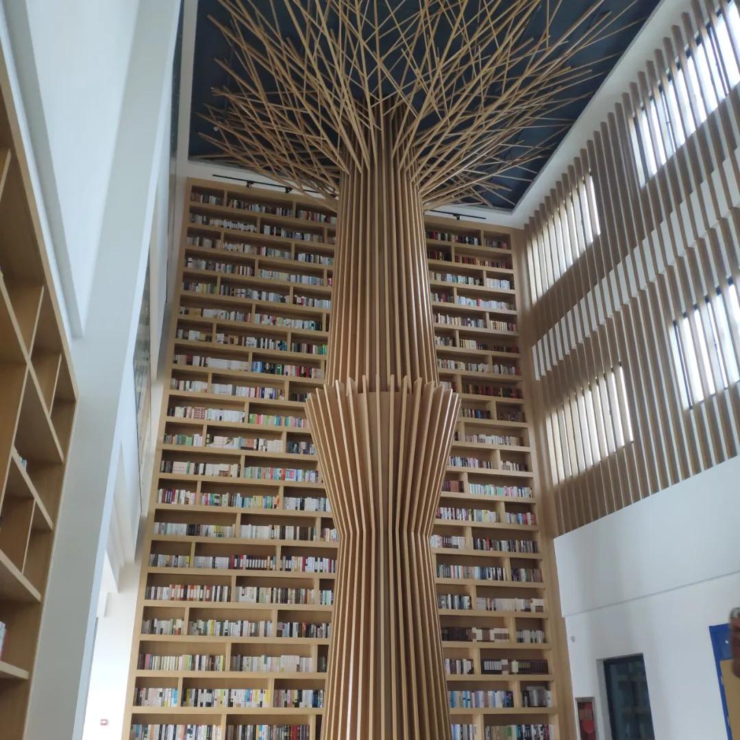 后来者居上？常州这所新晋民办校，凭什么跻身热门民办？