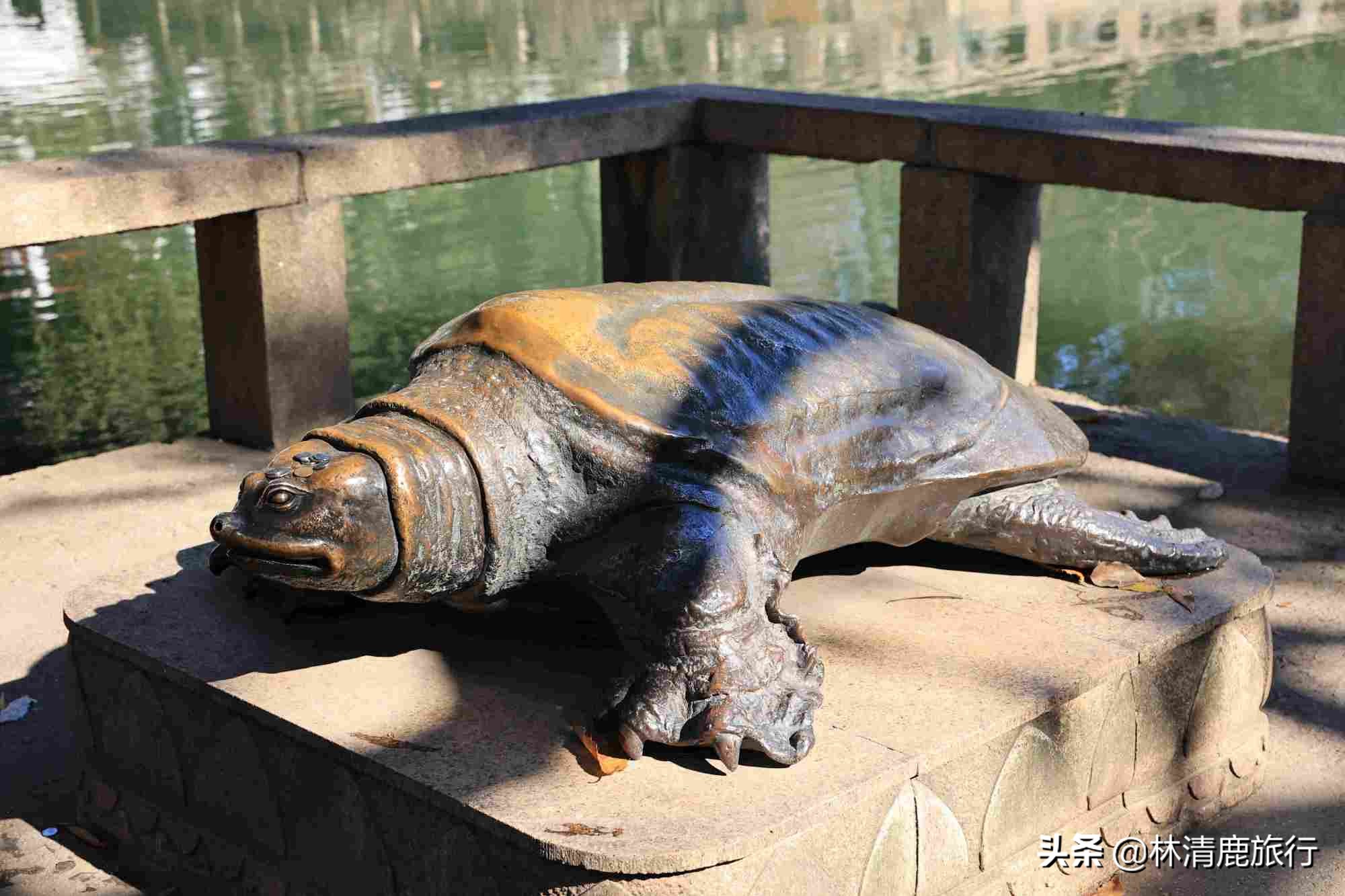 苏州西园寺 苏州西园寺两只巨鼋-徐拾记官网