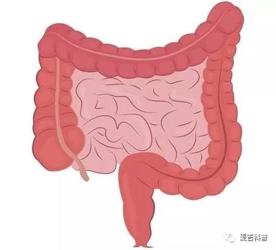 拉出大便带血怎么办？怎么处理，什么原因导致的？