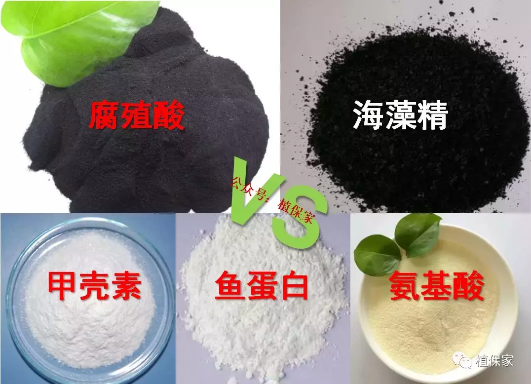 江西甲壳素水溶肥厂家是哪里的(骗局？这些肥料的性能作用不一样)