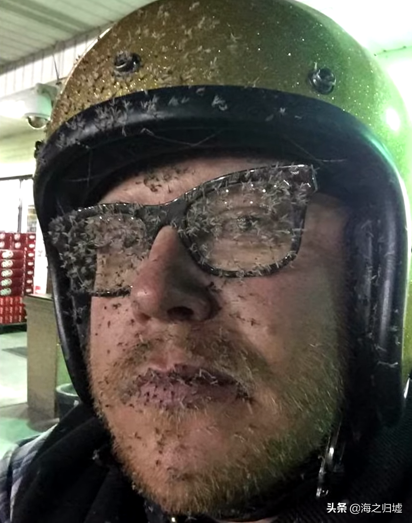 30张倒霉透顶的照片,每一张都让人绝望