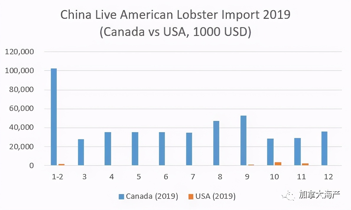 国内小龙虾是进口的吗(2021年中国美洲鳌龙虾进口再创新高，加拿大龙虾完胜波士顿龙虾)